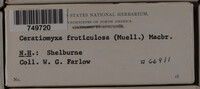 Image Associated With the Occurence